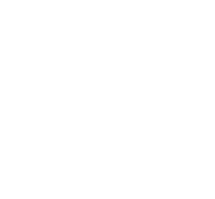 vector